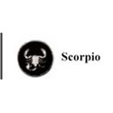 Picture of Visconti My Pen System Western Zodiac Coins - Scorpio