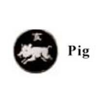 Picture of Visconti My Pen System Oriental Zodiac Coins - Pig