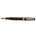 Picture of Stipula Etruria Ambra Cartridge Converter Fountain Pen Titanium T Flex Nib Fine