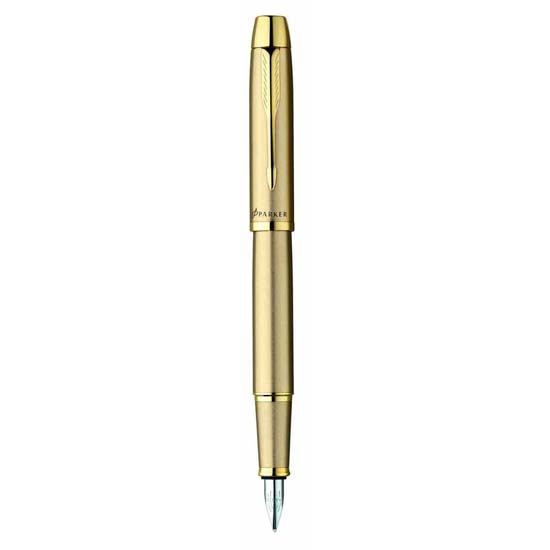 Parker IM Series Vector Stainless Color Fountain Pen 0.5mm Fine Nib Pen 